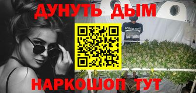 твердый Бердск