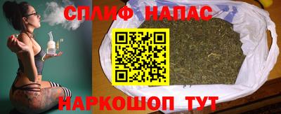 твердый Бердск