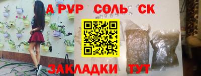 твердый Бердск