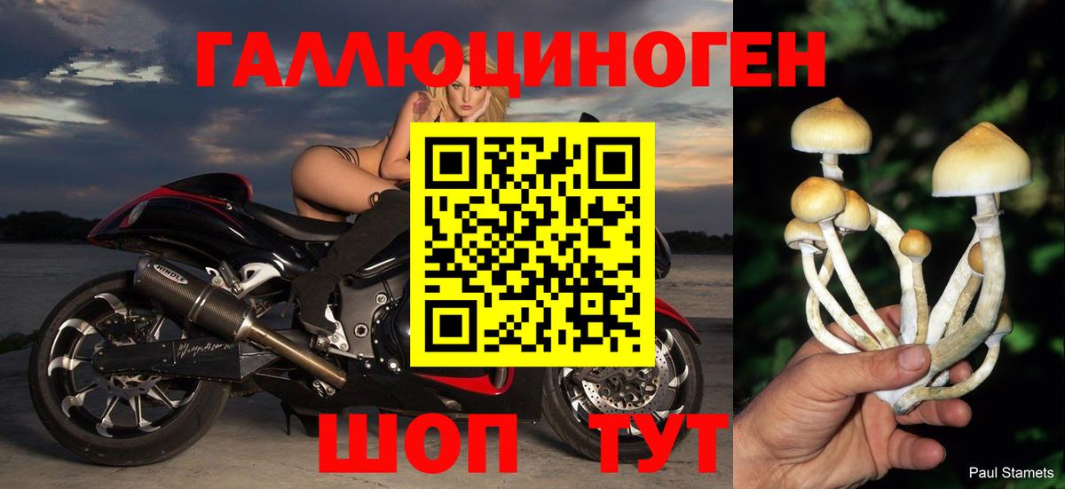 Псилоцибиновые грибы мицелий Астрахань