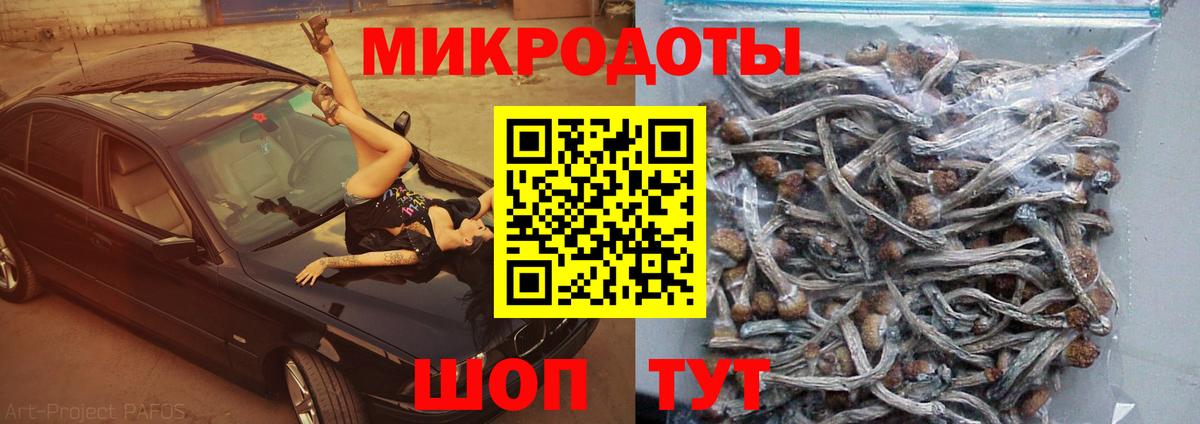 Галлюциногенные грибы ЛСД  Вход с VPN  Псилоцибиновые грибы GOLDEN TEACHER  Астрахань 